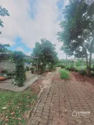 Fazenda / Sítio / Chácara com 3 Quartos à venda, 180m² no , Mandaguaçu - Foto 21