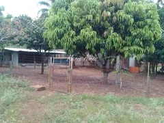 Fazenda / Sítio / Chácara com 3 Quartos à venda, 5000m² no Quinta dos Buritis, São Carlos - Foto 9