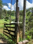 Fazenda / Sítio / Chácara com 3 Quartos à venda, 50000m² no Cachoeira, Santa Isabel - Foto 15