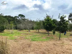 Terreno / Lote / Condomínio à venda, 300m² no Campo do Meio, Campo Largo - Foto 17