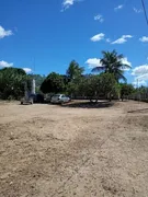 Fazenda / Sítio / Chácara com 3 Quartos à venda, 6600m² no Zona Rural, São José de Mipibu - Foto 7