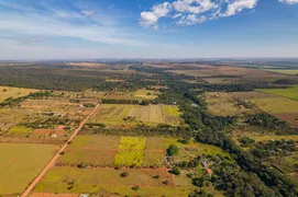 Fazenda / Sítio / Chácara com 3 Quartos à venda, 300m² no Zona Rural, Luziânia - Foto 15