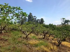 Fazenda / Sítio / Chácara com 2 Quartos à venda, 350m² no Chácaras Alpina, Valinhos - Foto 7