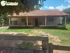 Fazenda / Sítio / Chácara à venda, 178112000m² no Zona Rural, Goianorte - Foto 11