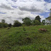 Terreno / Lote / Condomínio à venda, 20000m² no Centro, Cachoeira da Prata - Foto 13