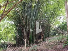 Fazenda / Sítio / Chácara à venda, 150040m² no Zona Rural, Dois Córregos - Foto 16