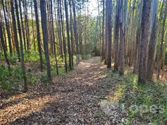 Fazenda / Sítio / Chácara com 6 Quartos à venda, 400m² no Condominio Jardim das Palmeiras, Bragança Paulista - Foto 1