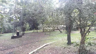 Fazenda / Sítio / Chácara com 4 Quartos à venda, 10000m² no Zona Rural, Uberlândia - Foto 7