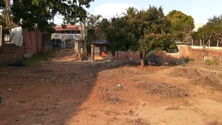 Fazenda / Sítio / Chácara com 2 Quartos à venda, 150m² no BELA VISTA, Elias Fausto - Foto 3