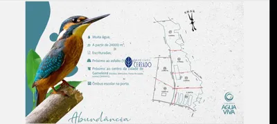 Fazenda / Sítio / Chácara com 2 Quartos à venda, 240000000m² no Zona Rural, Gameleira de Goiás - Foto 16