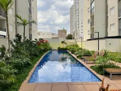 Apartamento com 2 Quartos para alugar, 50m² no Vila Guilherme, São Paulo - Foto 35
