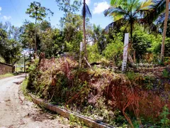 Fazenda / Sítio / Chácara com 2 Quartos à venda, 260m² no Conquista, Balneário Barra do Sul - Foto 7