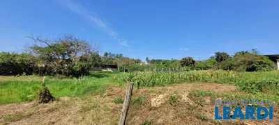 Fazenda / Sítio / Chácara com 2 Quartos à venda, 200m² no Jardim Portugal, Valinhos - Foto 39