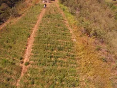 Fazenda / Sítio / Chácara à venda, 163000m² no Centro, Miguel Pereira - Foto 4