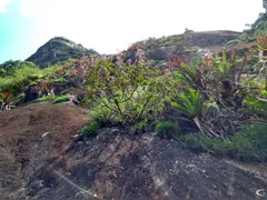 Terreno / Lote / Condomínio à venda, 49000m² no Centro, Bocaina de Minas - Foto 7