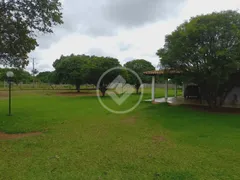 Fazenda / Sítio / Chácara com 3 Quartos à venda, 300m² no Panorama, Uberlândia - Foto 4