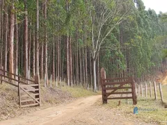 Fazenda / Sítio / Chácara à venda, 1390000m² no Taruacu, São João Nepomuceno - Foto 6