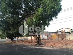Terreno / Lote / Condomínio à venda, 377m² no Osvaldo Rezende, Uberlândia - Foto 2