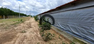 Fazenda / Sítio / Chácara com 3 Quartos à venda, 8m² no , Pocinhos - Foto 10