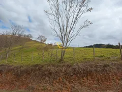 Terreno / Lote / Condomínio à venda, 5000m² no Centro, Paraíba do Sul - Foto 3