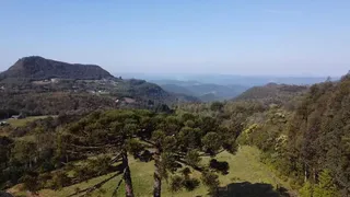 Fazenda / Sítio / Chácara com 1 Quarto à venda, 60000m² no Serra Grande, Gramado - Foto 9