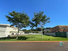 Terreno / Lote / Condomínio à venda, 1006m² no Jardim Olhos d Agua, Ribeirão Preto - Foto 7
