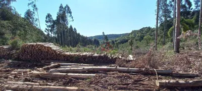 Fazenda / Sítio / Chácara à venda, 1200m² no Vale das Colinas, Gramado - Foto 3