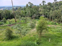 Fazenda / Sítio / Chácara com 4 Quartos à venda, 12800m² no Caucaia do Alto, Cotia - Foto 27