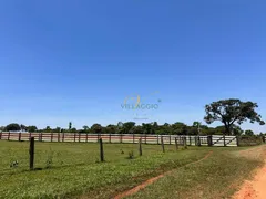 Fazenda / Sítio / Chácara à venda, 2000m² no Rural, Nova Granada - Foto 1