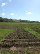 Fazenda / Sítio / Chácara com 3 Quartos à venda, 25000m² no Centro, Ceará Mirim - Foto 1
