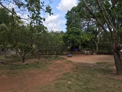 Fazenda / Sítio / Chácara com 3 Quartos à venda, 2500m² no Lagoa do Bonfim, Nísia Floresta - Foto 3