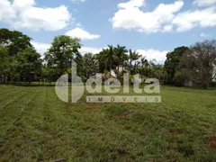 Terreno / Lote / Condomínio à venda, 5600m² no Tocantins, Uberlândia - Foto 2