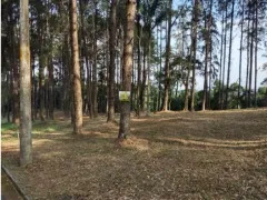 Terreno / Lote / Condomínio à venda, 1168m² no Aldeia da Serra, Santana de Parnaíba - Foto 7