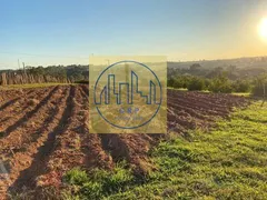 Fazenda / Sítio / Chácara com 3 Quartos à venda, 26455m² no Reforma Agraria, Valinhos - Foto 3