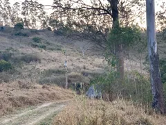 Fazenda / Sítio / Chácara à venda, 20000m² no Luiz Carlos, Guararema - Foto 10