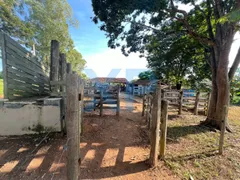Fazenda / Sítio / Chácara com 3 Quartos à venda, 230m² no Zona Rural, São Sebastião do Oeste - Foto 47