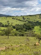 Fazenda / Sítio / Chácara com 3 Quartos à venda no Centro, Vila Propício - Foto 10