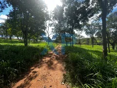 Fazenda / Sítio / Chácara com 3 Quartos à venda, 300m² no Zona Rural, São Sebastião do Oeste - Foto 3