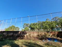 Fazenda / Sítio / Chácara com 4 Quartos à venda, 400m² no Zona Rural, São Pedro - Foto 7