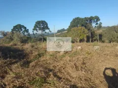 Fazenda / Sítio / Chácara com 1 Quarto à venda, 17545m² no Centro, Agudos do Sul - Foto 5