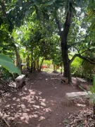 Fazenda / Sítio / Chácara com 5 Quartos à venda, 300m² no Parque da Grama, Indaiatuba - Foto 46