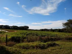 Fazenda / Sítio / Chácara com 3 Quartos à venda, 880000m² no Silva Campos, Pompéu - Foto 1