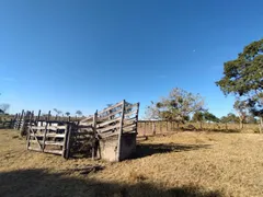 Fazenda / Sítio / Chácara com 3 Quartos à venda, 103m² no Zona Rural, Colinas do Sul - Foto 21