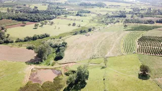 Fazenda / Sítio / Chácara com 2 Quartos à venda, 151250m² no Zona Rural, Monte Santo de Minas - Foto 3