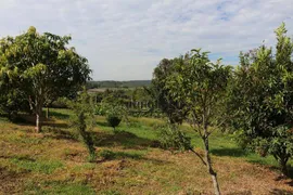 Fazenda / Sítio / Chácara com 3 Quartos à venda, 200m² no Pinheirinho, Itu - Foto 32