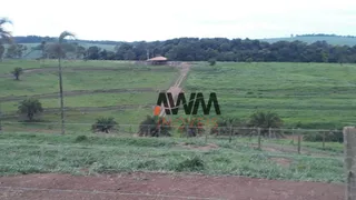 Fazenda / Sítio / Chácara à venda, 726000m² no , Anicuns - Foto 16