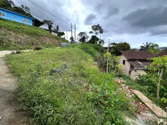 Terreno / Lote / Condomínio à venda, 560m² no Itaum, Joinville - Foto 2