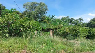 Fazenda / Sítio / Chácara com 2 Quartos à venda, 13000m² no Macuco, Valinhos - Foto 17