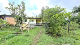 Fazenda / Sítio / Chácara com 1 Quarto à venda, 3000m² no Jardim Krahe, Viamão - Foto 5