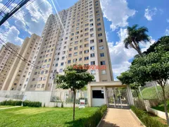 Apartamento com 2 Quartos para alugar, 46m² no Jardim Helian, São Paulo - Foto 19